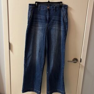 Pinstripe Stretch Blue jeans